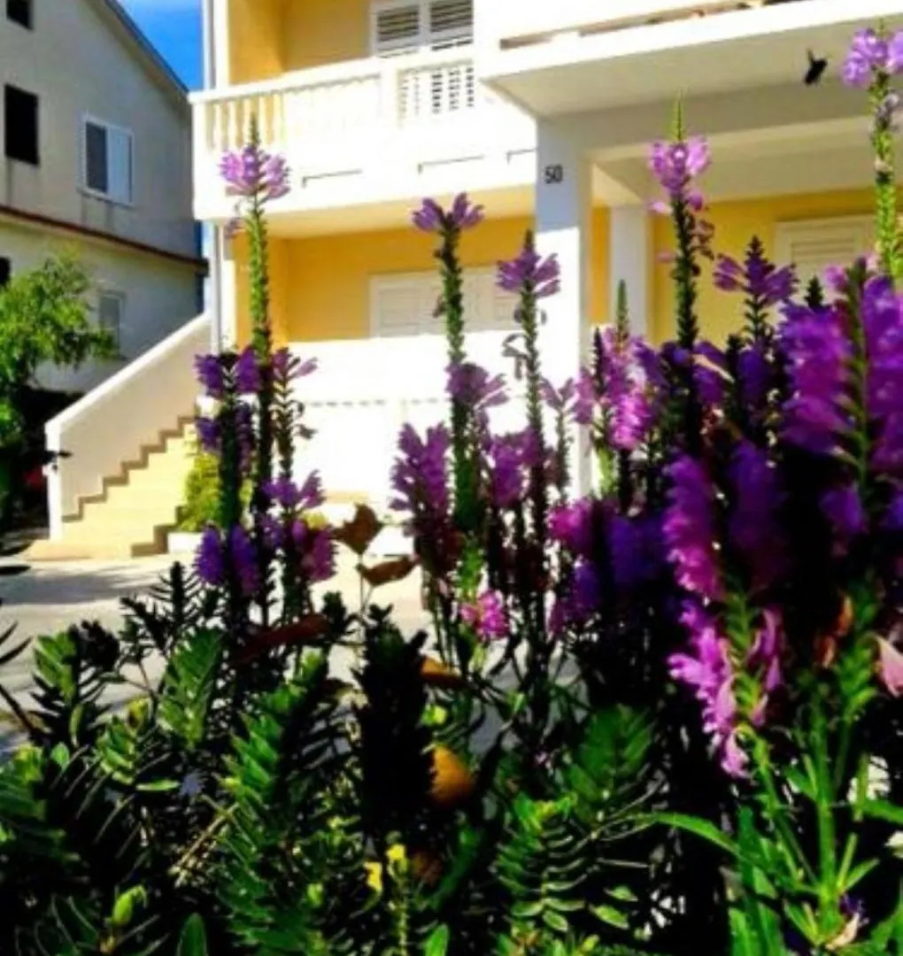 Apartments Franciska & Tihomir: Supetarska Draga 0*,  Croatia